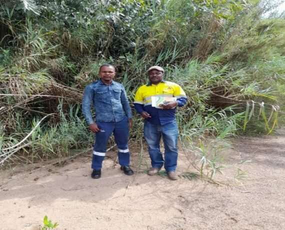 Campo1