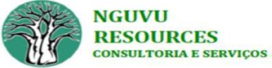 Nguvu resources